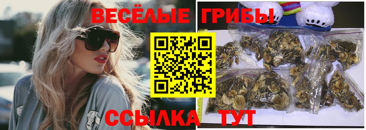 Псилоцибиновые грибы прущие грибы  Вход с VPN  Новочебоксарск 