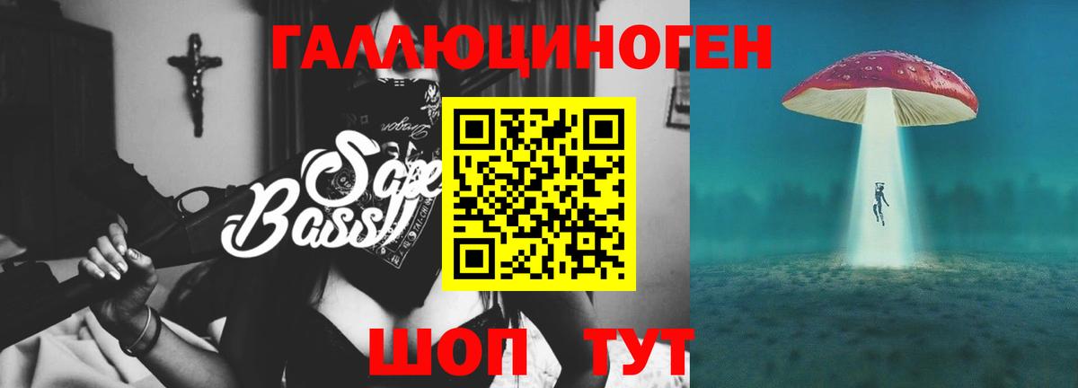 Псилоцибиновые грибы Psilocybe Новочебоксарск